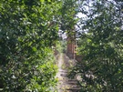 2023-07-11 Nieczynny most kolejowy nad Wartą.